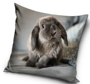 Poszewka Velvet 40x40 miła pluszowa z króliczkiem królik