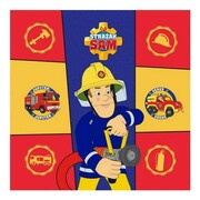 Ręcznik magiczny 30x30 ręczniczek bawełniany