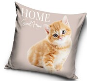 Poszewka Velvet 40x40 miła pluszowa Kotek