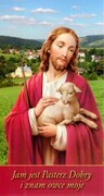 Obrazek Pan Jezus z owieczką (bez modlitwy) - 07948