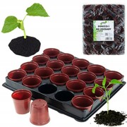 20x doniczki do rozsad tacka na sadzonki paletka