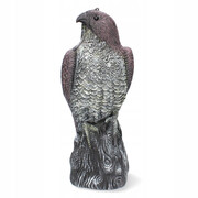 Orzeł siedzący odstraszacz ptaków gołębi ogród