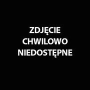 Crafts żaroodporny czarny matowy 690 stopni spray 400ml.