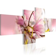 Obraz - Gałąź krzewu magnolii Artgeist