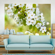 Fototapeta - Delikatne kwiaty wiśni Artgeist