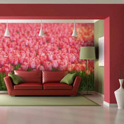 Fototapeta - Wiosenna łąka - świeże różowe tulipany Artgeist