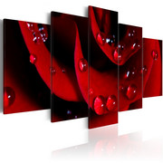 Obraz - Róża z kroplami rosy Artgeist