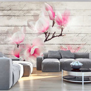 Fototapeta - Delikatność Magnolii Artgeist