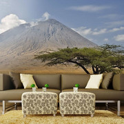 Fototapeta - Wulkan Ol Doinyo Lengai - Tanzania, Afryka Artgeist