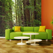 Fototapeta - Green forest Artgeist