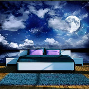 Fototapeta - Magiczna noc Artgeist