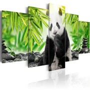 Obraz - Słodka mała panda Artgeist