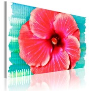 Obraz - Hawaiian flower Artgeist