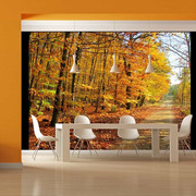 Fototapeta - Beech forest Artgeist