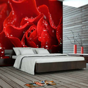 Fototapeta - Zroszona róża Artgeist
