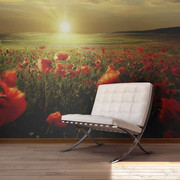 Fototapeta - Makowe pola - poranek Artgeist