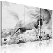 Obraz - Jednorożec na skraju świata Artgeist