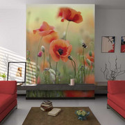 Fototapeta - Magiczny urok lata - maki Artgeist