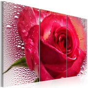 Obraz - Lady Rose - triptych Artgeist