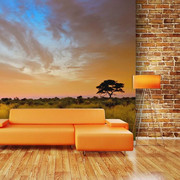 Fototapeta - South African sunset Artgeist