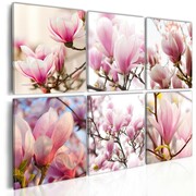 Obraz - Magnolie na południu Artgeist