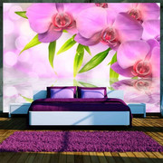 Fototapeta - Orchidee w kolorze lila Artgeist