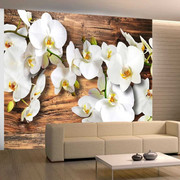 Fototapeta - Śnieżnobiałe orchidee Artgeist