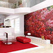 Fototapeta - Rhododendron, Japanische azalea Artgeist