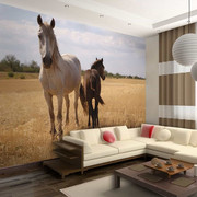 Fototapeta - Koń i źrebię Artgeist