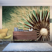 Fototapeta - Focus on dandelion Artgeist