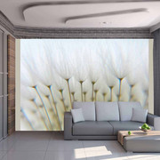 Fototapeta - Dmuchawcowy las Artgeist