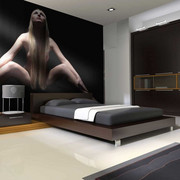 Fototapeta - akt - symetria Artgeist
