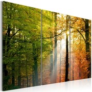 Obraz - Spokojny jesienny las Artgeist