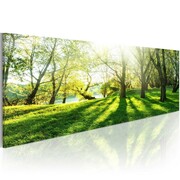 Obraz - W promieniach słońca Artgeist