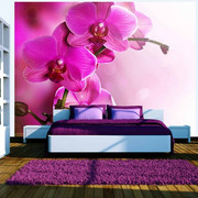 Fototapeta - Różowa orchidea Artgeist