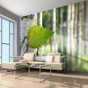 Fototapeta - Liść brzozy Artgeist