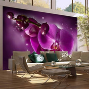 Fototapeta - Baśń i orchidea Artgeist