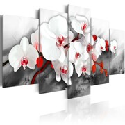 Obraz - Orchidea - jedyna w swoim rodzaju Artgeist