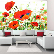 Fototapeta - Country poppies Artgeist