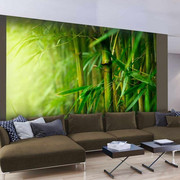 Fototapeta - dżungla - bambus Artgeist
