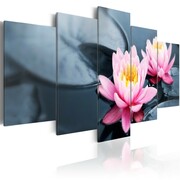 Obraz - Marzenie o lilii wodnej Artgeist