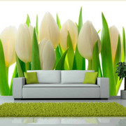 Fototapeta - Białe tulipany Artgeist