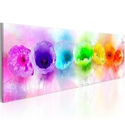 Obraz - Rainbow-hued poppies Artgeist