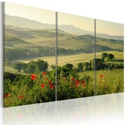Obraz - Maki na toskańskich pagórkach Artgeist