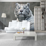 Fototapeta - Tygrys bengalski w zoo Artgeist