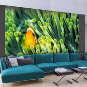 Fototapeta - Anemonefish Artgeist
