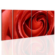 Obraz - Passionate rose Artgeist