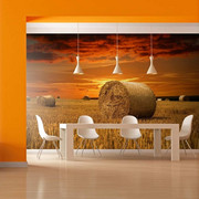 Fototapeta - Złote pola Artgeist