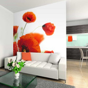 Fototapeta - Poppies on the wihite background Artgeist