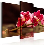 Obraz - Orchidea nad taflą jeziora Artgeist